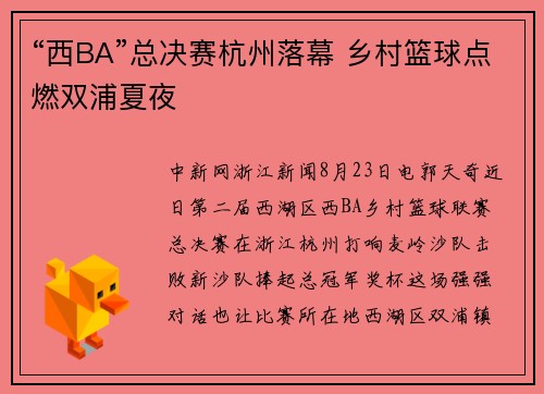 “西BA”总决赛杭州落幕 乡村篮球点燃双浦夏夜