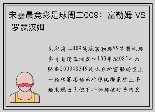 宋嘉晨竞彩足球周二009：富勒姆 VS 罗瑟汉姆